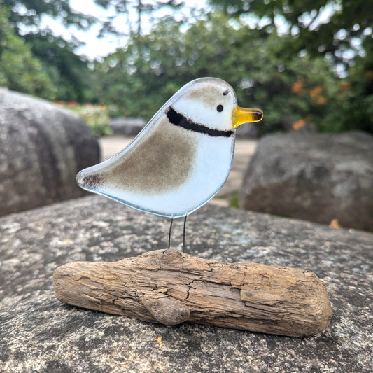 Fused Glass - Piping Plover