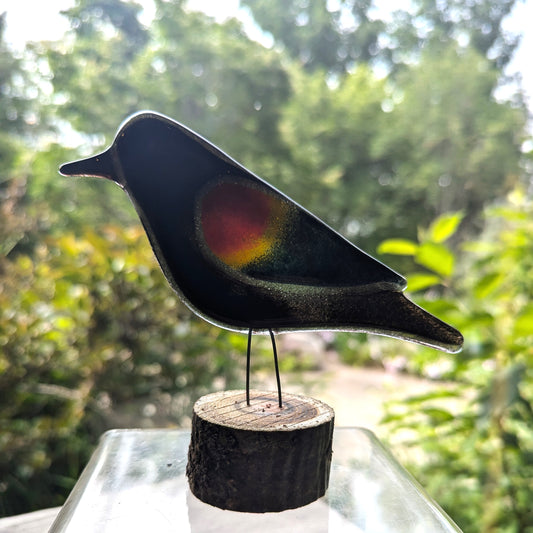 Fused Glass - Red Winged Black Bird