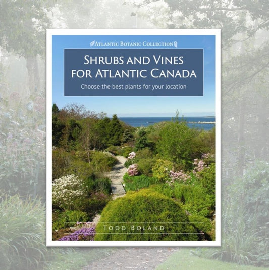 Shrubs & Vines for Atlantic Canada
