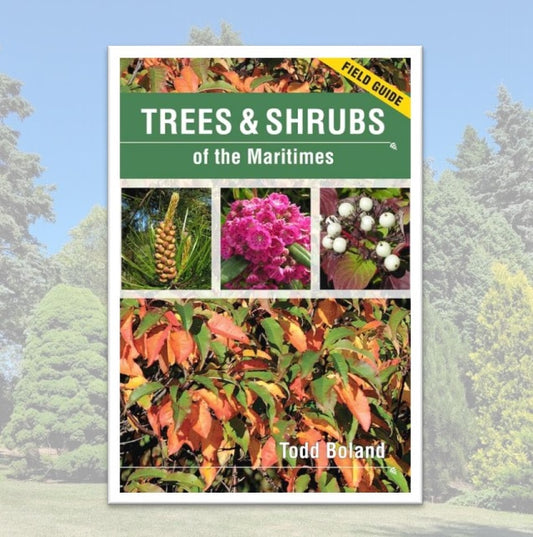 Trees and Shrubs of the Maritimes