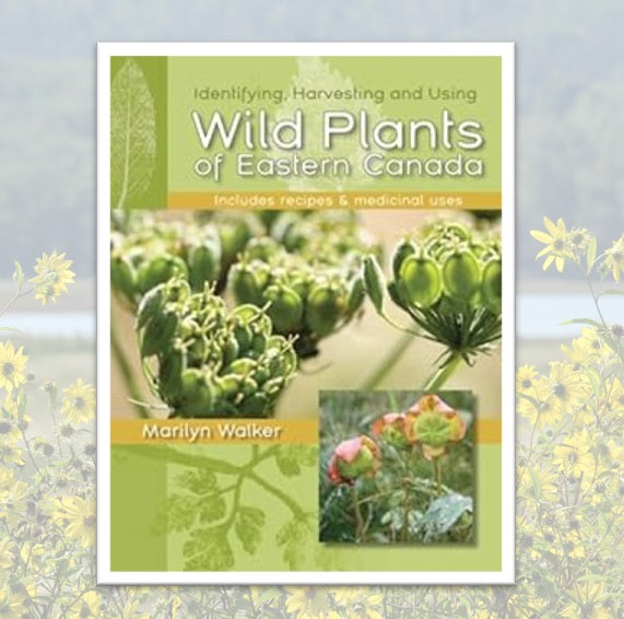 Wild Plants of Eastern Canada