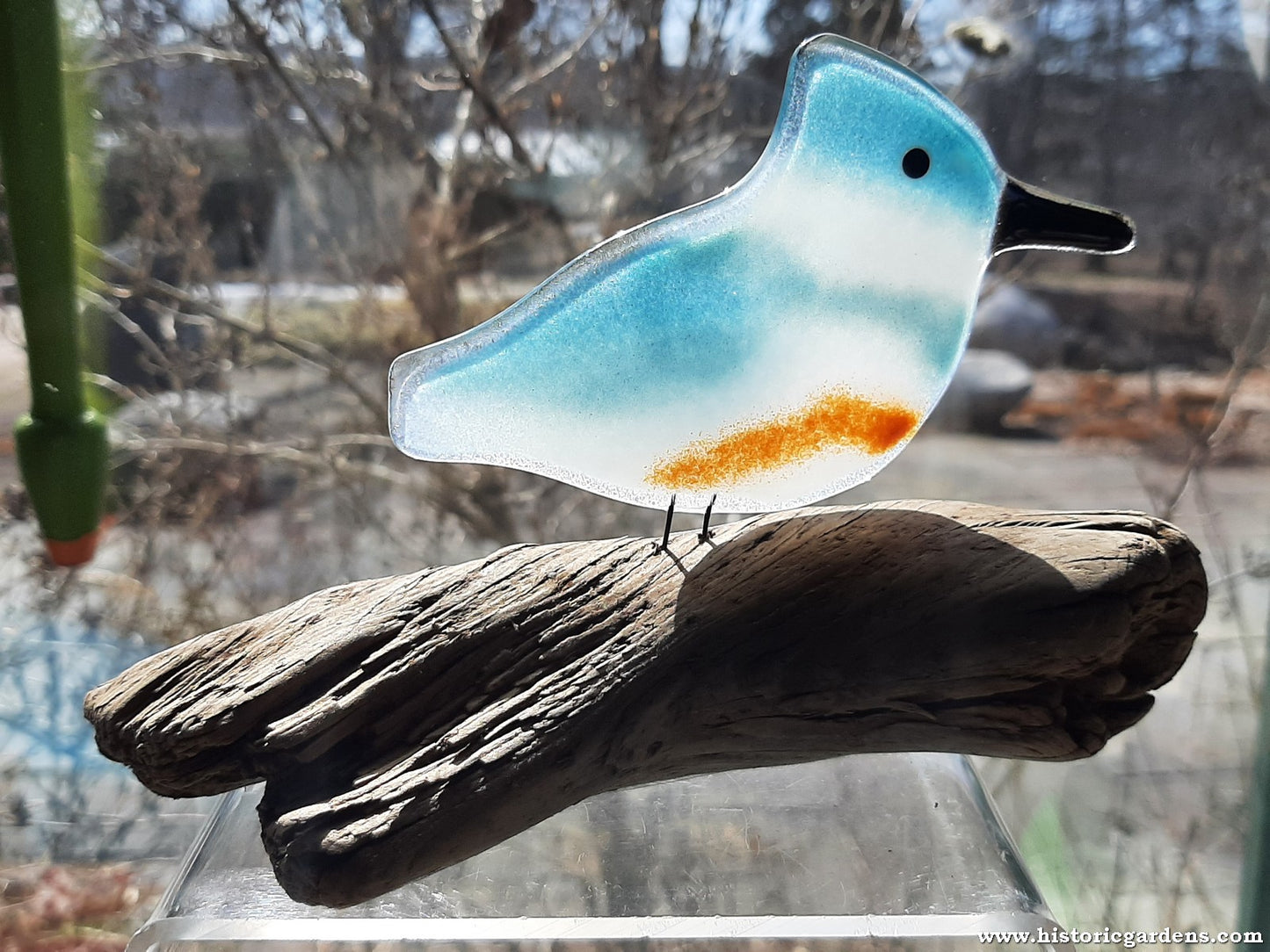 Fused Glass - Kingfisher