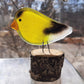 Fused Glass - Goldfinch Chick