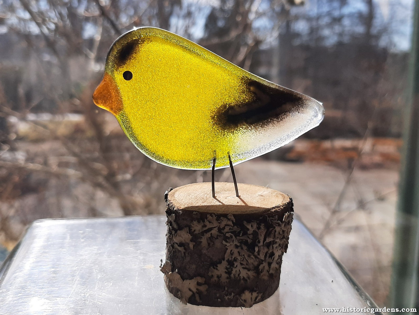 Fused Glass - Goldfinch Chick