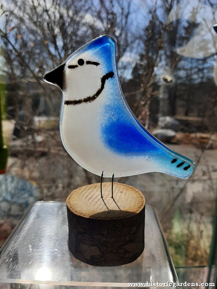 Fused Glass - Blue Jay