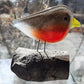 Fused Glass - Robin Chick