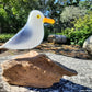 Fused Glass - Sea Gull