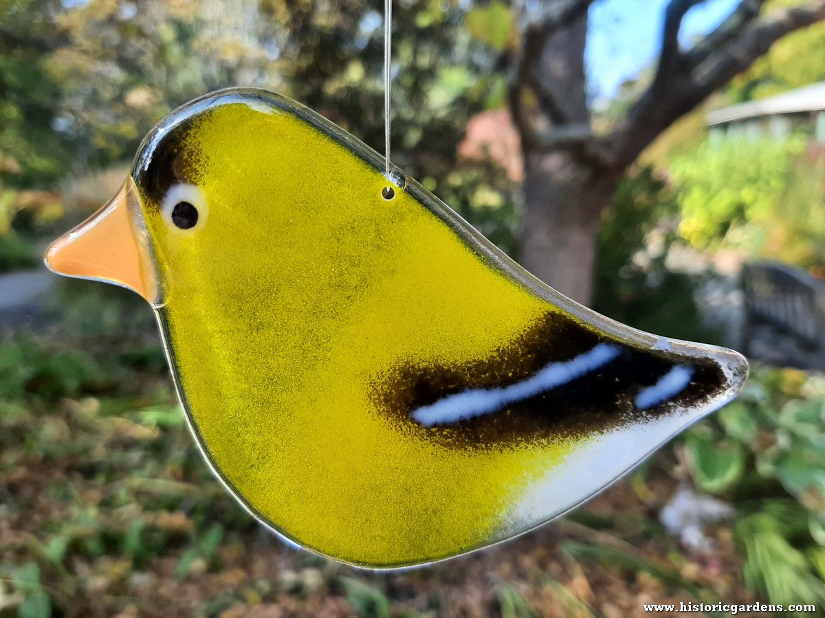 Hanging Fused Glass Birds