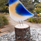 Fused Glass - Eastern Bluebird