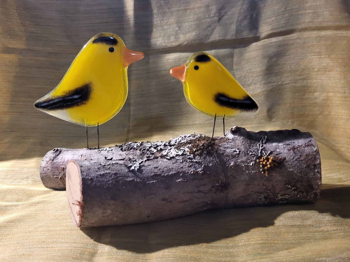 Fused Glass - American Goldfinch Adult & Chick